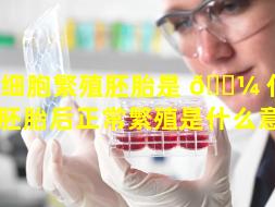 干细胞繁殖胚胎是 🌼 什么（收集胚胎后正常繁殖是什么意思）